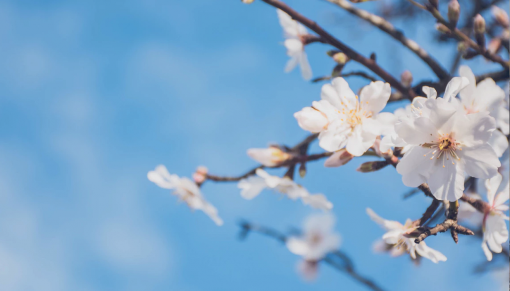 Spring Skincare Prep