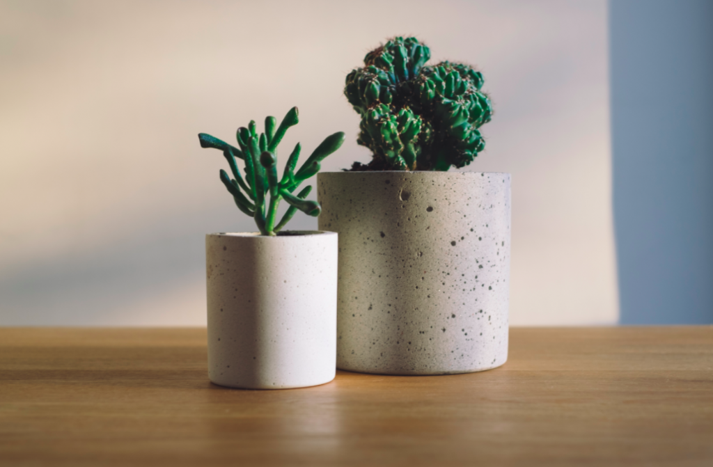 Is your bathroom Summer ready?