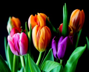 Time to Get Your Spring On